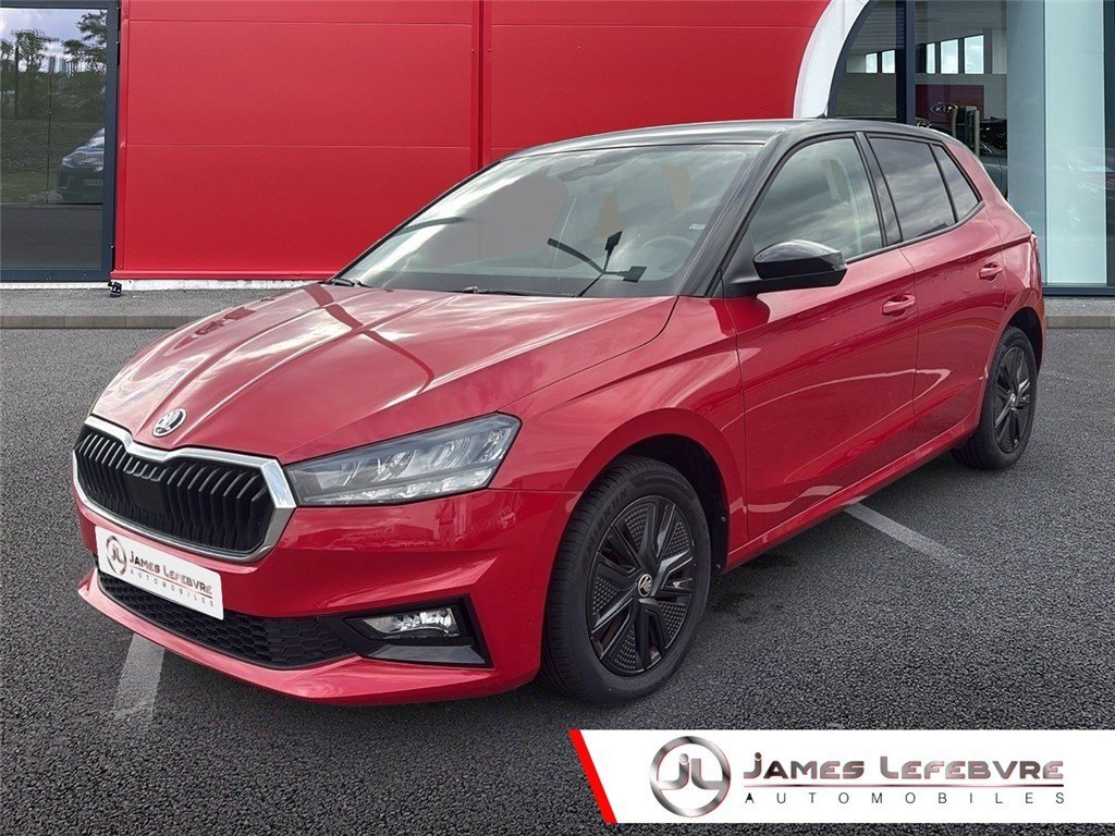skoda - Visuel 0