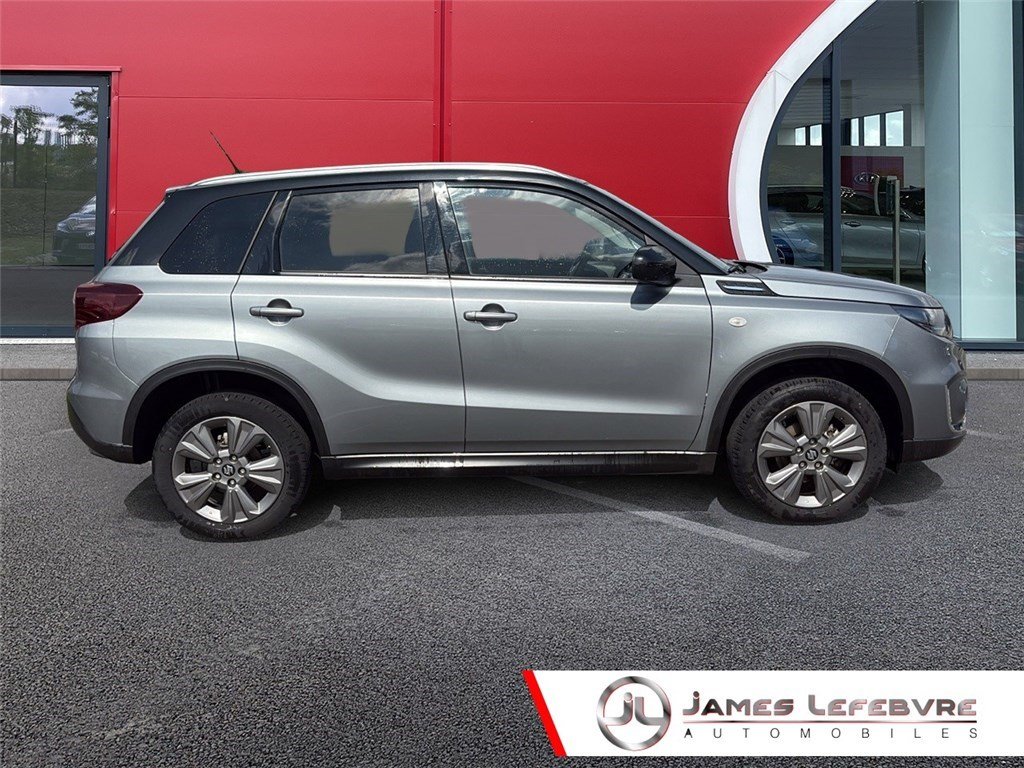 suzuki - Visuel 0